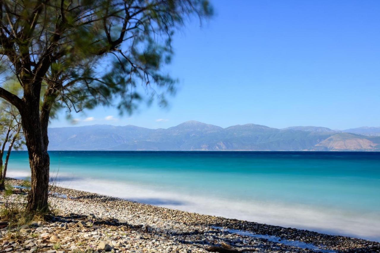 Oliva Holiday Homes Dhiyellótika Zewnętrze zdjęcie