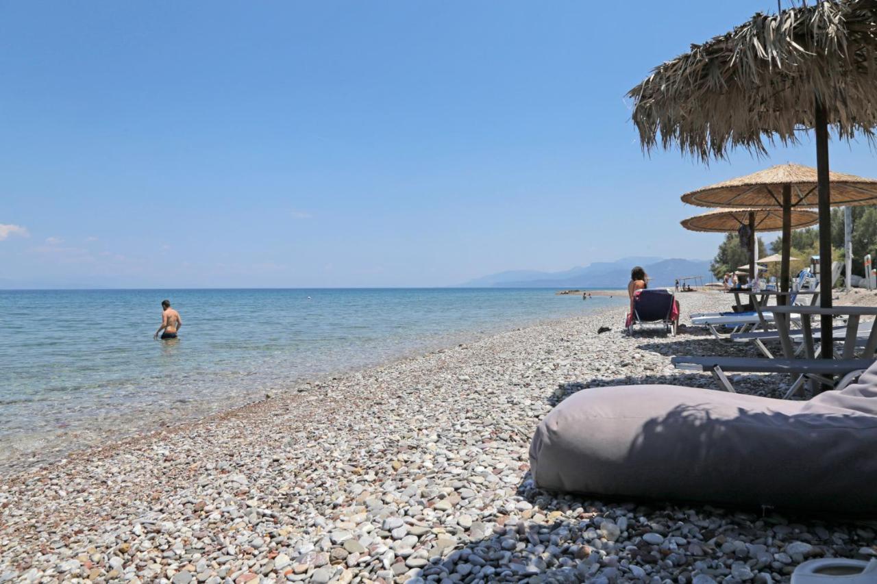 Oliva Holiday Homes Dhiyellótika Zewnętrze zdjęcie
